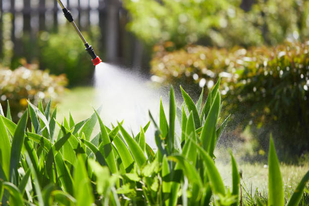 24/7 Emergency Wasp Removal experts in Franklin, KY