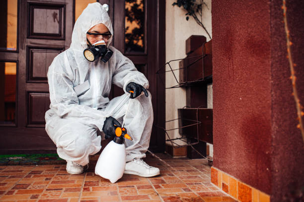 Reliable Wasp Removal contractor in Franklin, KY by Show Me Pest Control